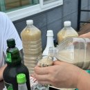 피리부는아저씨 이미지