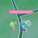포켓몬고 - 레쿠쟈 레이드 + 이로치 레쿠쟈