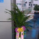 이레꽃화원 - 홍천군 양덕원2길 5 | 대전 관엽식물 화원 추천, 큰 식물 찾는다면?