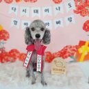 땡자네 묭실 이미지