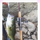 부엉덤이 이미지