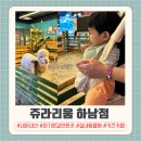 리움 | 하남 실내동물원 아기랑 가기좋은 주라리움 방문후기