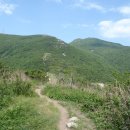 운림교 Daum카페