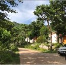 비버리힐즈펜션1 이미지