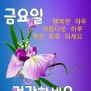 6월18일 뉴스브리핑 이미지