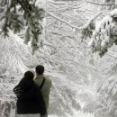 Snow County 이미지