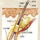 다모드림의원 이미지