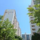 도림로63길 | 서울 영등포구 신길동, 영등포동 일대 임장 후기