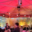 한일교통(주) | 대구 교동 술집 핫플 히야 조개구이 감성 폭발