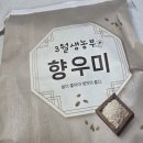 영호 | 정말맛있는쌀 오분도미 3월생농부 영호진미 솔직후기