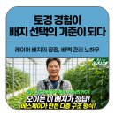 에스제이유통 | 고흥 오이 농가 후기 '🌱 토경 경험이 선택의 기준이 되다'