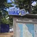 해파랑길33코스 이미지