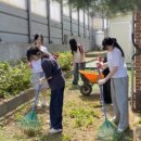 로뎀나무의원 이미지