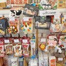 강남펫스타일 이미지