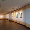 앞산순환로 이미지