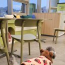 4914 | 하늘휴게소 - 펫프랜들리] 내돈내산 판교방향 시흥하늘휴게소 반려견과 함께 할 수 있는 펫존 방문 후기