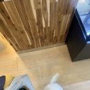 잇츠몽몽 이미지