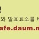 여주-0565 Daum카페