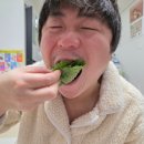 모들농수산