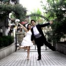 아이리스 이미지