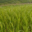 유일종합상사 이미지