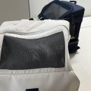 이층애 고양이동물병원 | 고양이 수술 전 검진 위해 24시 동물 병원 방문