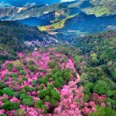 춘천 계곡민박 이미지