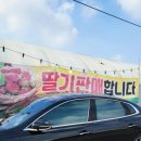 솔비농장 이미지