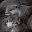 탄금호국제조정경기장 보트하우스 이미지