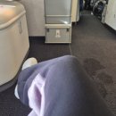 Honest Gym 어니스트짐 | 영국 여행기 01, 히스로공항 얼스코드 빅벤 어니스트버거 - 241214