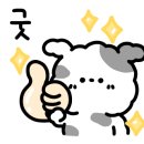멍댕이 애견유치원 네이버블로그