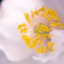 (주)좋은친구들 이미지