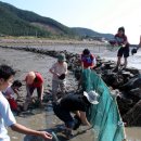 하저어촌체험마을 이미지