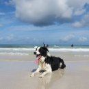 멍노리터 이미지