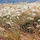 생각의 오름 이미지