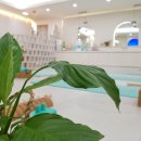 굿모닝요가 이미지