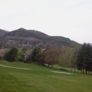 나인골프 이미지