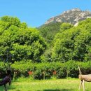 설아다원 이미지