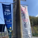 대청호대덕뮤직패스티벌 | 대전 대청호 2023 대덕뮤직페스티벌 이틀 다녀온 후기