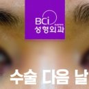 비씨아이성형외과의원