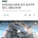 [단독] 강남·서초엔 `코디` 공시가격 있다.."1분당 5천 원" 이미지