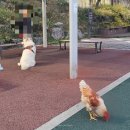 남부순환로191길 이미지