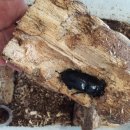 대야안전공구 이미지