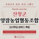 산청군양잠농업협동조합 Daum카페