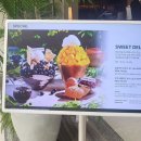 본월드아트테인먼트 | 영종도 당일치기 코스 (feat.파라다이스호텔망고빙수+인스파이어 엔터테이먼트 리조트)