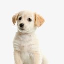 (주)집사의 하루 이미지