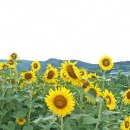 가야4리 이미지