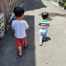 연세언어청각발달연구소