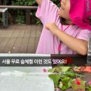 자연염색박물관 | [공지] 서리풀 숲속 상상학교 후기 | 아이와 무료숲체험 | 2026 여름방학 프로젝트 ⑦