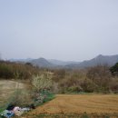 무장1리(송정) 경로당 | 바람머리산(196m) 도야지산(226m) 벼랑산(142m) 부길산(162m) 유봉산(142m) 큰 안산(184m) 매봉재산...